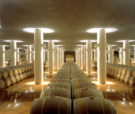 A Look At The Wine Cellar -  Castello di Fonterutoli - Mazzei